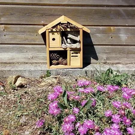 Holiday home Les Chalets Du Gua Des Brasses