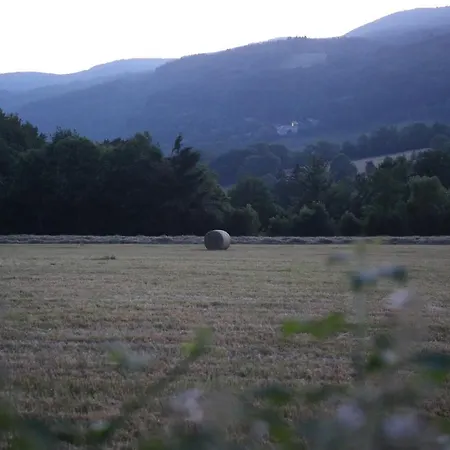 Les Chalets Du Gua Des Brasses La Salvetat-sur-Agout